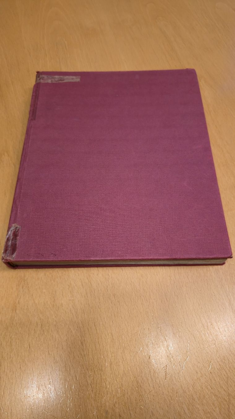Libri: Grosses Disney Buch - Bunte Wunderwelt – Usato da Leuggern venduto da Grousi 1