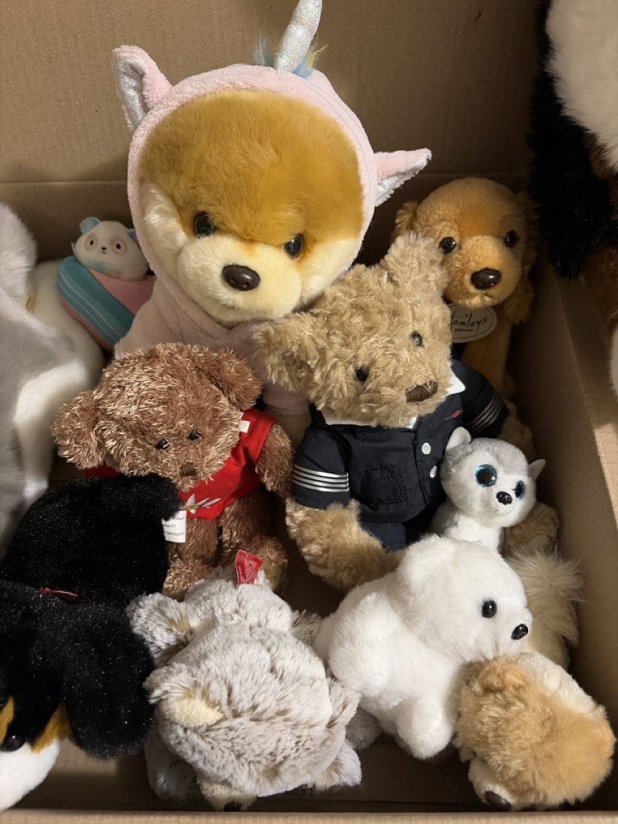 Giocattoli: Lot de peluches  – Usato da le mont sur lausanne venduto da Alecour 2