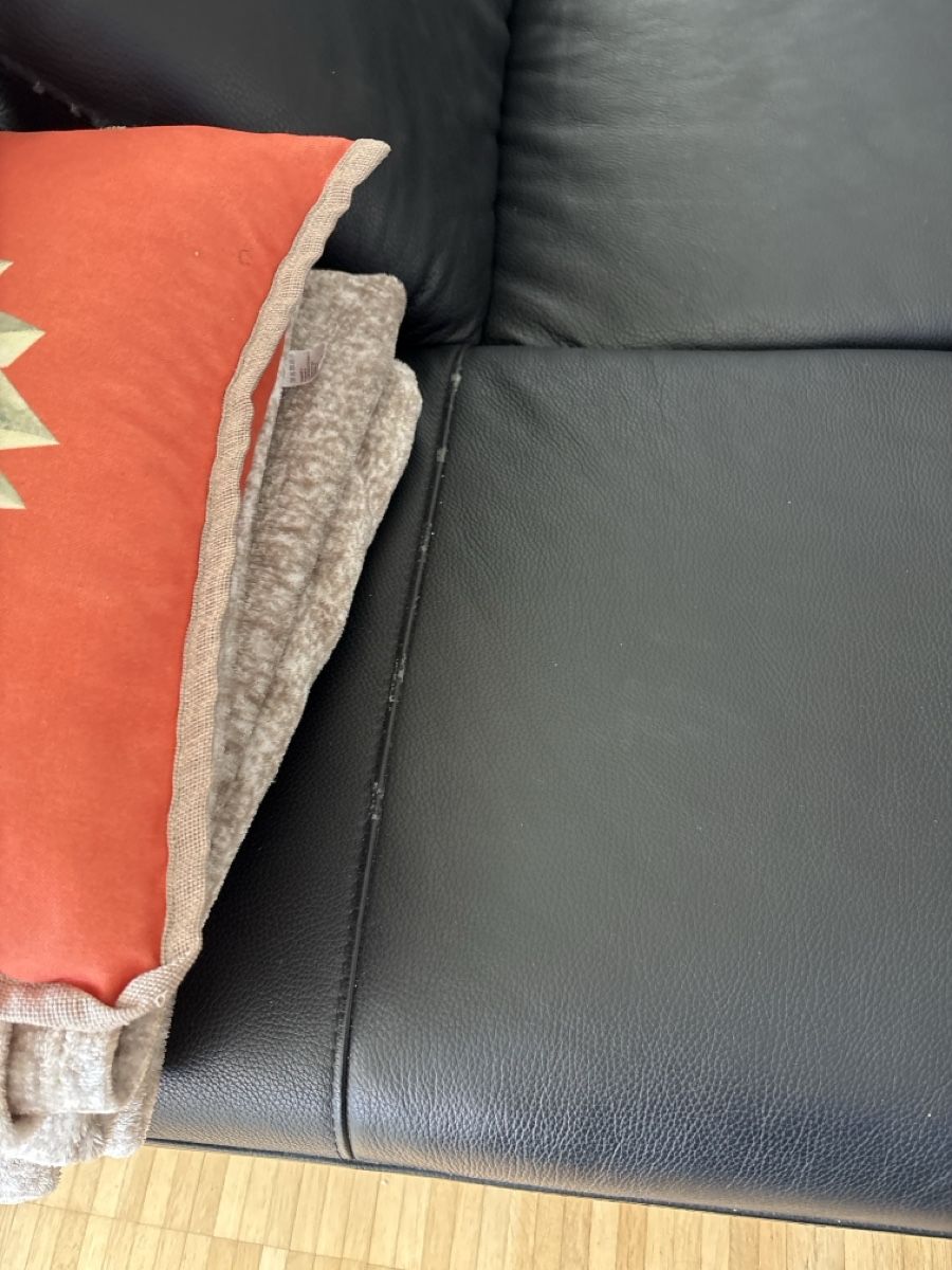 Divani: Sofa Echtleder – Usato da Egg b. Zürich venduto da asa_pn9j 4