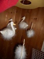 Deckenlampe Enten