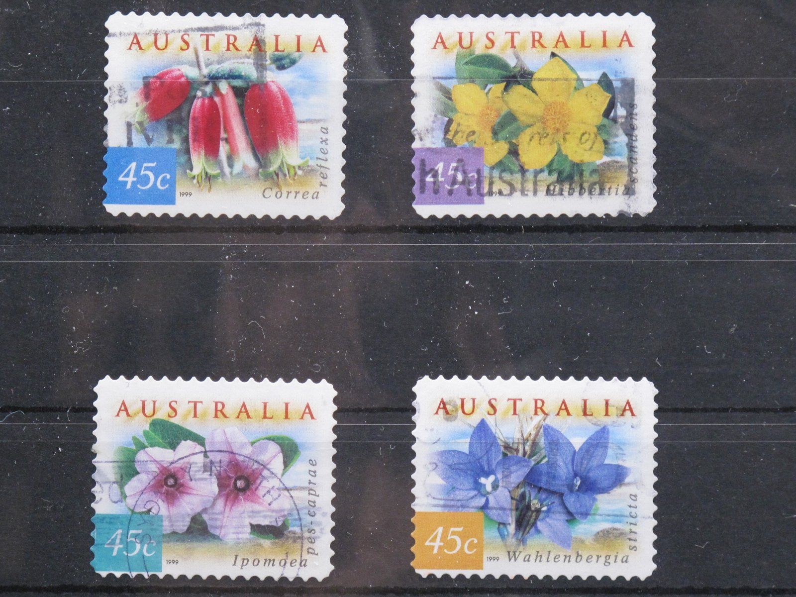 Tutti i francobolli: Australia 1999 Flora & Fauna gest. – Usato da Wil SG venduto da fva01