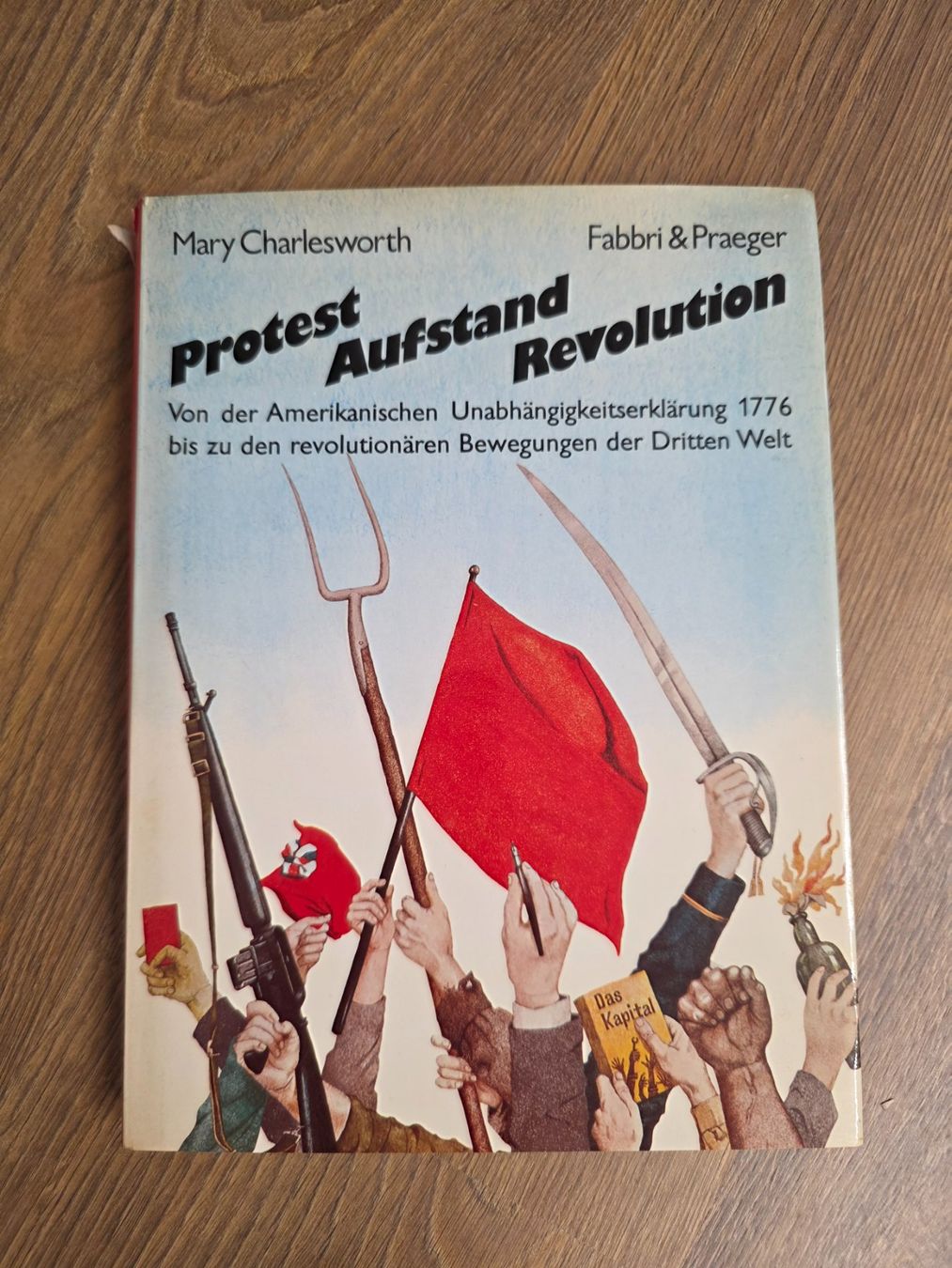 Libri: Buch "Protest Aufstand Revolution" von Mary Charlesworth – Usato da Nebikon venduto da Japostyle