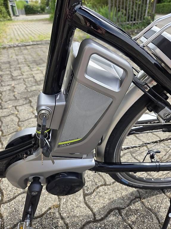Flyer Biciclette: E-Bike Flyer – Usato da Dachsen venduto da bea_jvs2 3