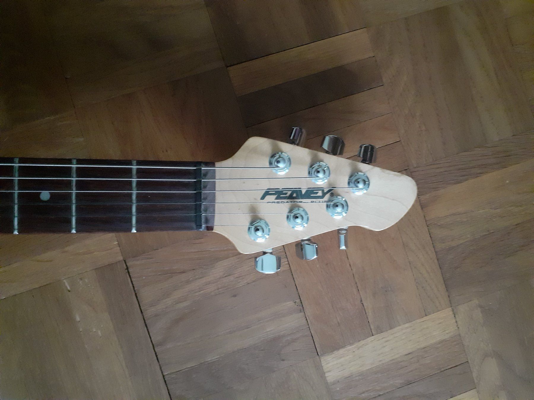 Peavey Musikinstrumente: Peavey predator plus – Gebraucht aus Meggen von casa_del_lupo 1