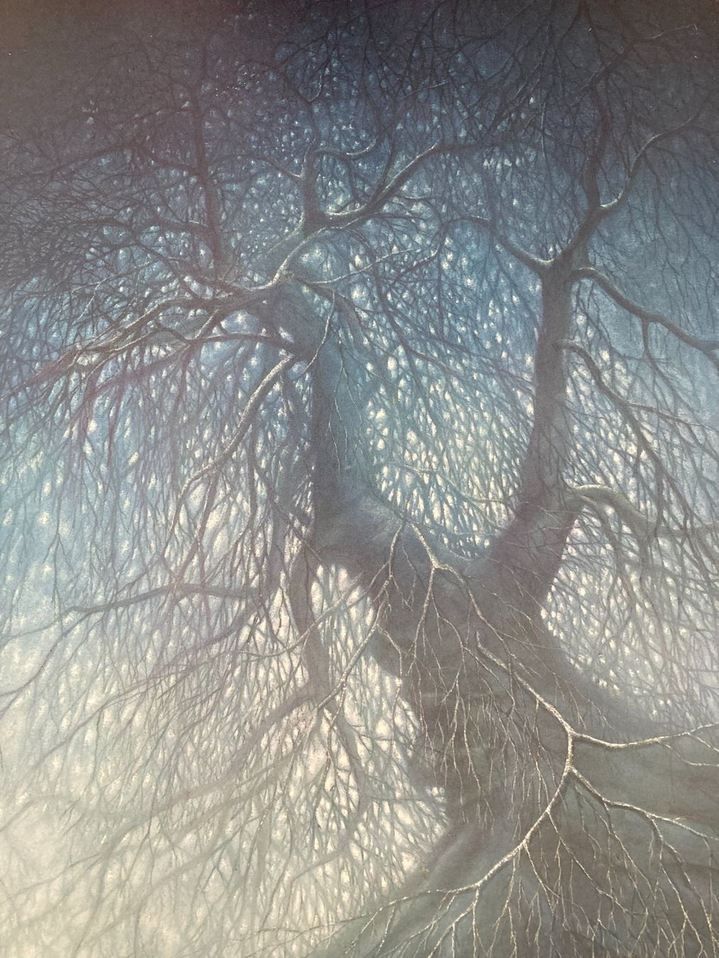 Foto & Immagini: FRIEDRICH  HECHELMANN   Kunstdruck  BAUM  Holzrahmen  / Glas – Usato da Subingen venduto da ArtBead 1