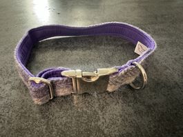 Hundehalsband Violett/Silber