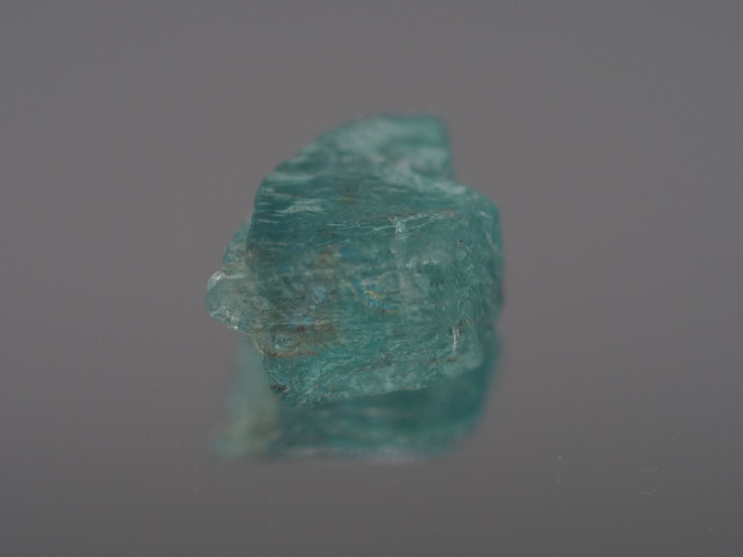 Pietre preziose: Ab 1CHF - Apatite (1 Rohstein) 3.07ct – Nuovo e nell'imballaggio originale da Buchs SG venduto da OTNaturalGems 3
