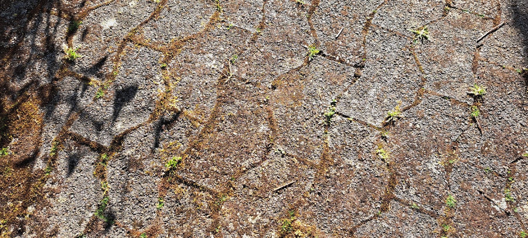 Rivestimenti per pavimenti: Verbundsteine – Usato da Bubikon venduto da Tempelrider 1