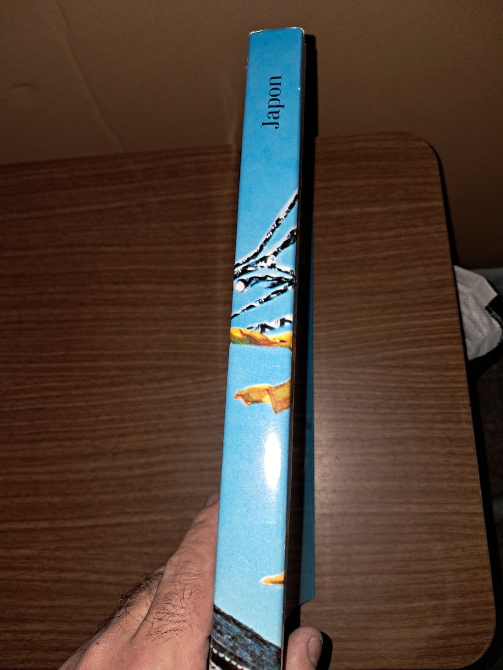 Bücher: Livre sur le japon – Gebraucht aus Le locle von juliensaran 2