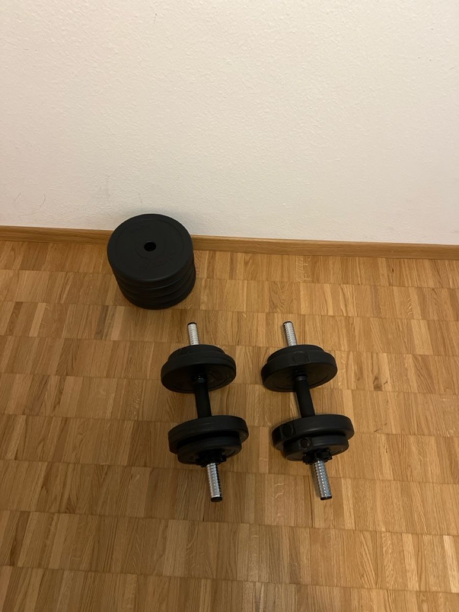 Manubri & Pesi: Dumbells – Usato da Zürich venduto da jkbkr
