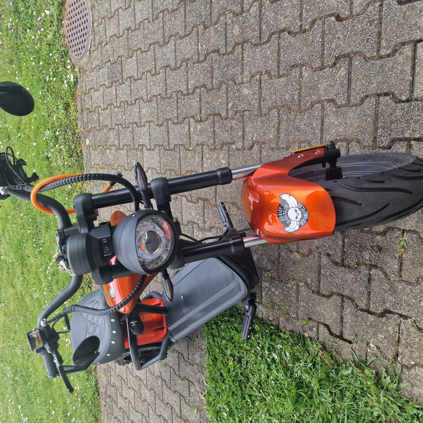 Scooter: E-Chopper Don Harley Orange – Usato da Gebenstorf venduto da jac_7j6p 3