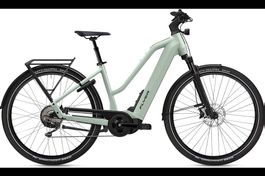 NEU E-BIKE FLYER 25KM/H | 95NM & 750WH FIT PANASONIC