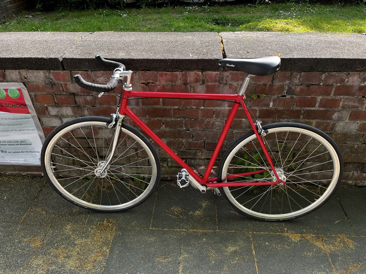 Biciclette: singlespeed costum built citybike – Usato da Bern venduto da sam_c78d
