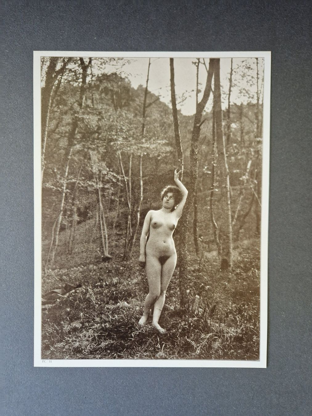 Libri: Akt Jugendstil Eva im Paradis – Usato da Mörschwil venduto da antiksalon21 6