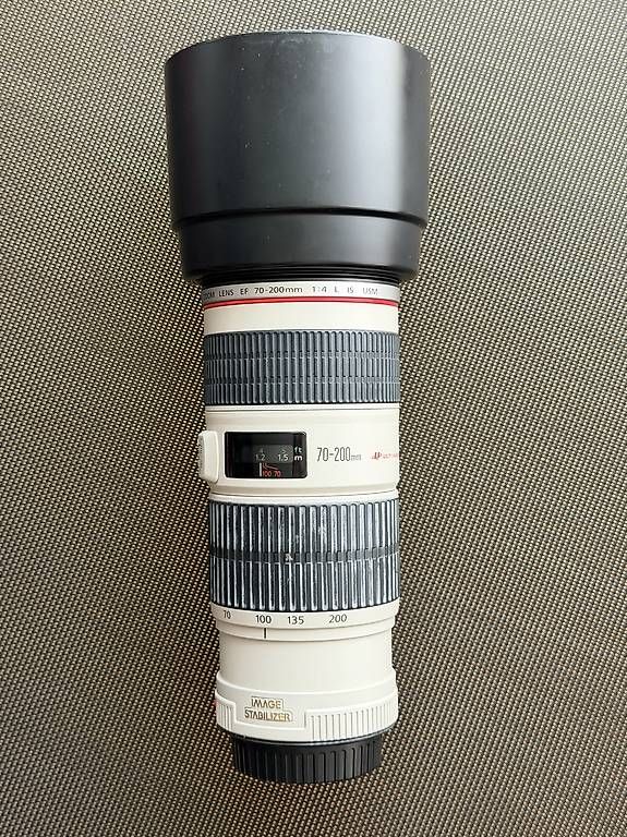 Canon Obiettivi: Canon EF 70-200mm 4.0 L IS USM – Usato da Horgen venduto da roligraf 5