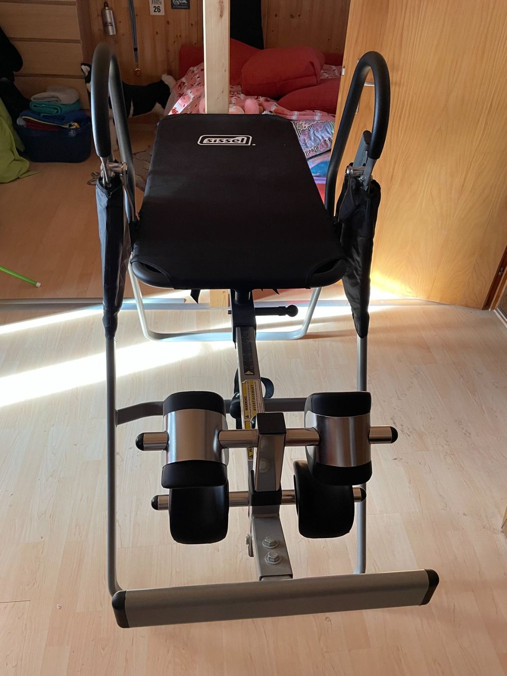 Hometrainer: Sissel Hang UP – Usato da Heiligenschwendi venduto da Mute4 3