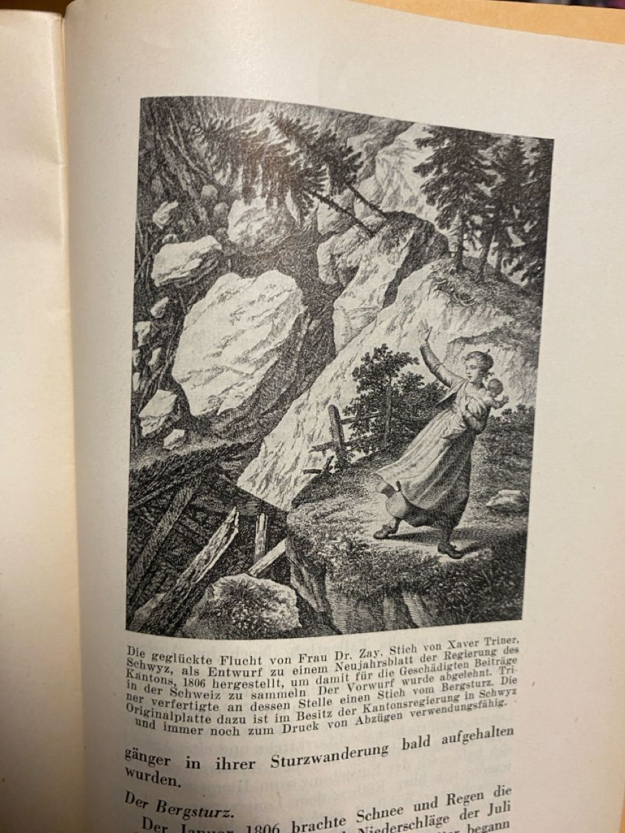 Livres: Das Bergsturzgebiet von Goldau – D'occasion à Liestal par Stephanoceras1 2