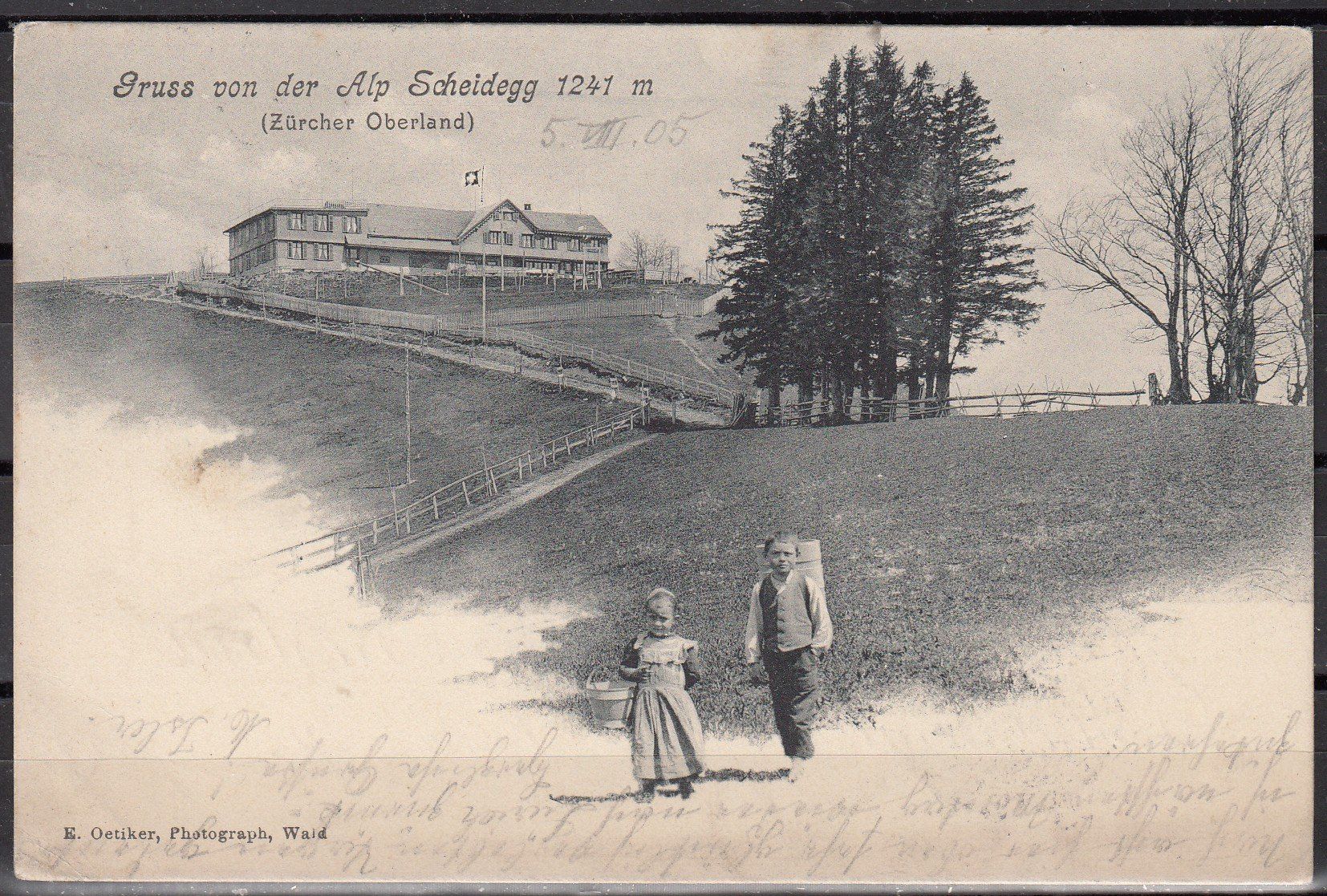 Cartoline postali: AK Gruss Von Der Alp Scheidegg ZH – Usato da Herrliberg venduto da Lfrifda