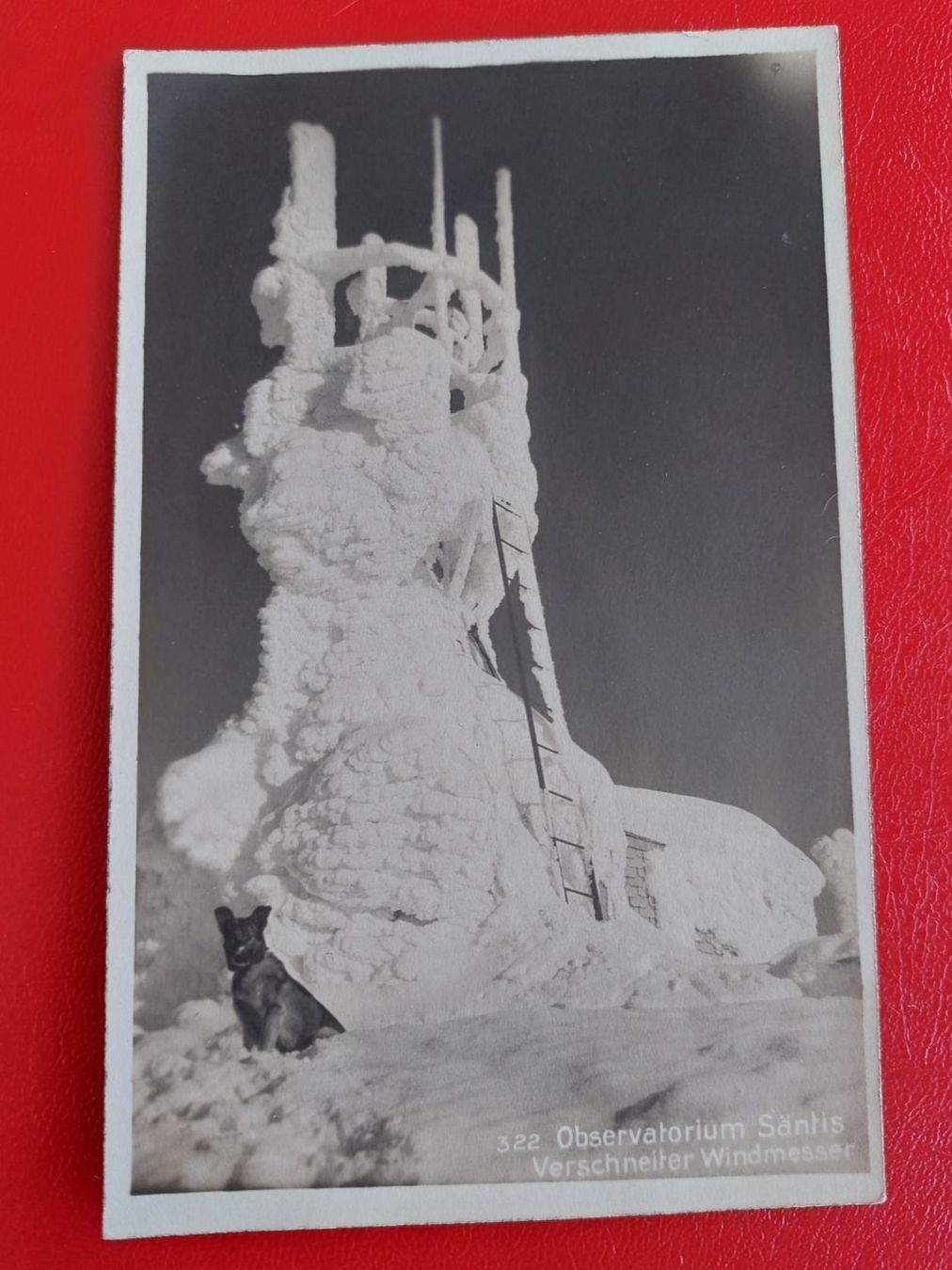Cartoline postali: Observatorium Säntis ; Verschneiter Windmesser / Schäferhund – Usato da St-Légier-Chiésaz venduto da Theo006