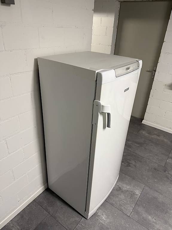 Gefrierschrank: Gefrierschrank Electrolux – Gebraucht aus Leuggern von e.sh13 4