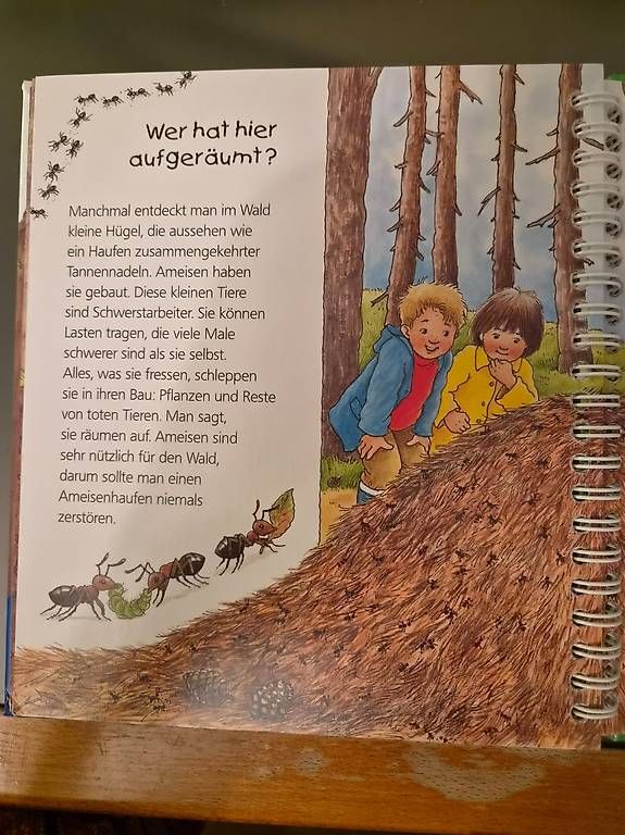 Libri: Wieso Weshalb Warum? junior  Der Wald – Usato da Gümligen venduto da tam_m9pl 2
