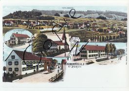 Gruss aus Niederhasli um 1900, (AK Lithoansicht im Form. A4)