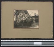 Fotografie Grosssachsenheim, Strasse vor