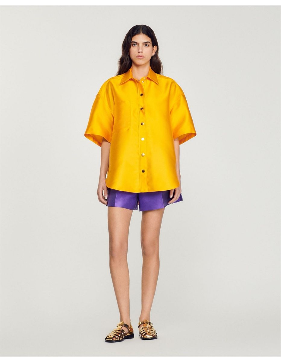 Sandro Camicette: Leisure blouse Sandro – Usato da Forel (Lavaux) venduto da julie13