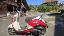 SYM Mio 100 - Rote
