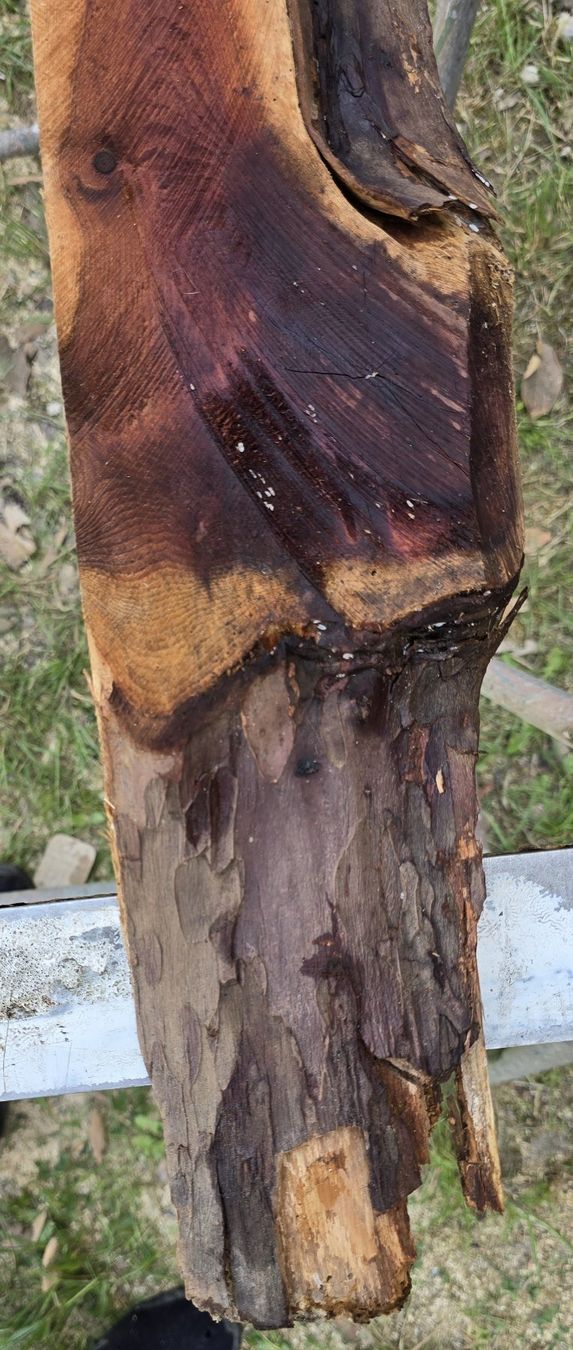 Articoli in legno: Altes Holzbrett  – Usato da Rorschacherberg venduto da snOOpydOg11 5