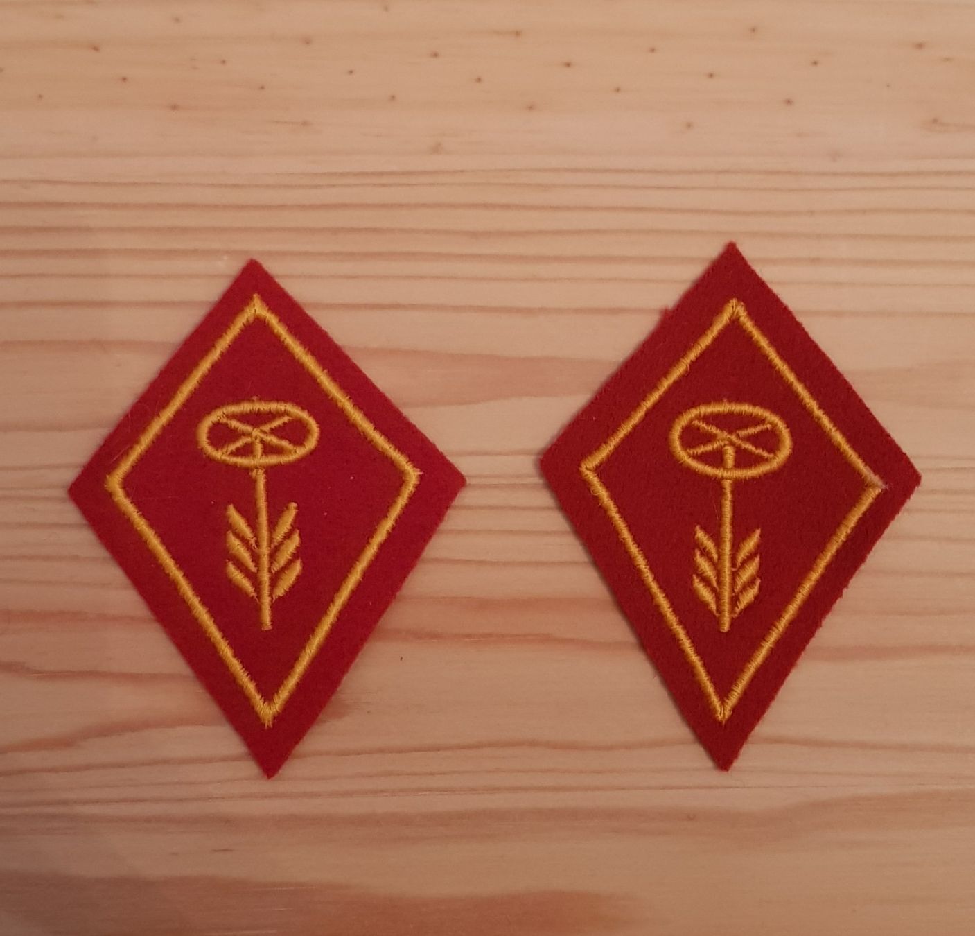 Schweizer Armee Patches: Kragenspiegel Motorfahrer – Gebraucht aus Bern von Collins2