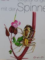 Seltenes Spinnenbuch "Begegnungen mit der Spinne" Max Frei