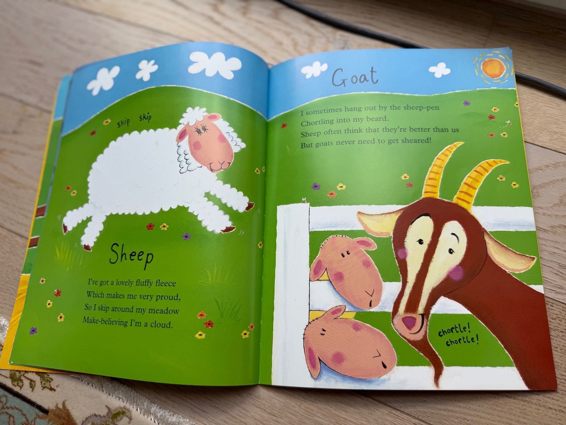 Libri: Farmyard Hullabaloo – Usato da Hirzel venduto da Dream-Box 2