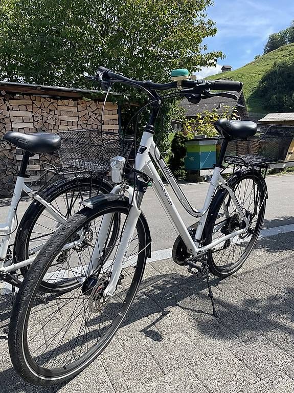 Biciclette: City-Bike 2 Stück – Usato da Stansstad venduto da Magnolie03 4