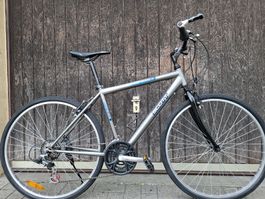 Herrenvelo SCOTT