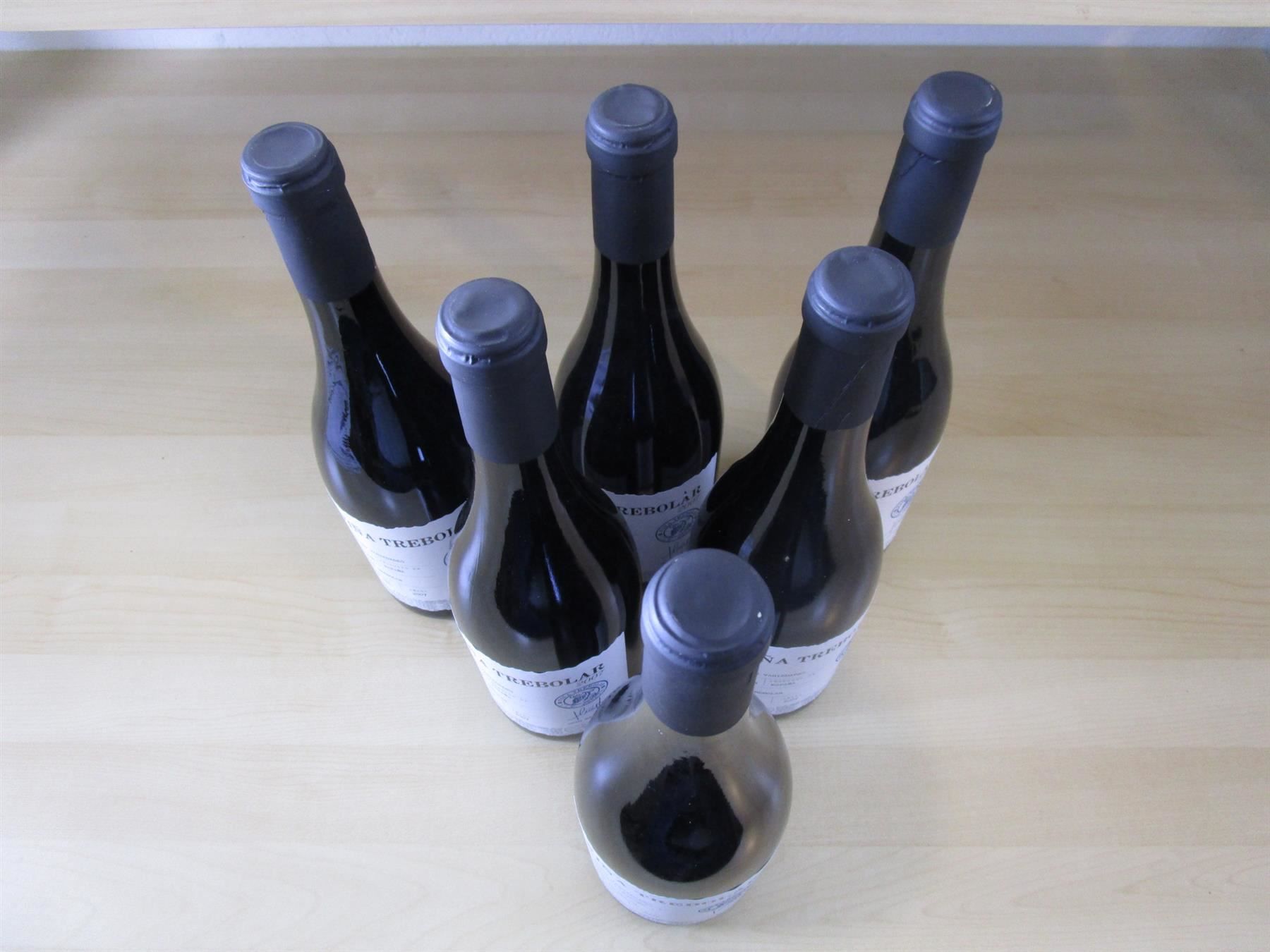 Vino: Lot 12 Fl. 2007 Viña Trebolar – Nuovo (secondo la descrizione) da Eschenbach SG venduto da brocovin 8