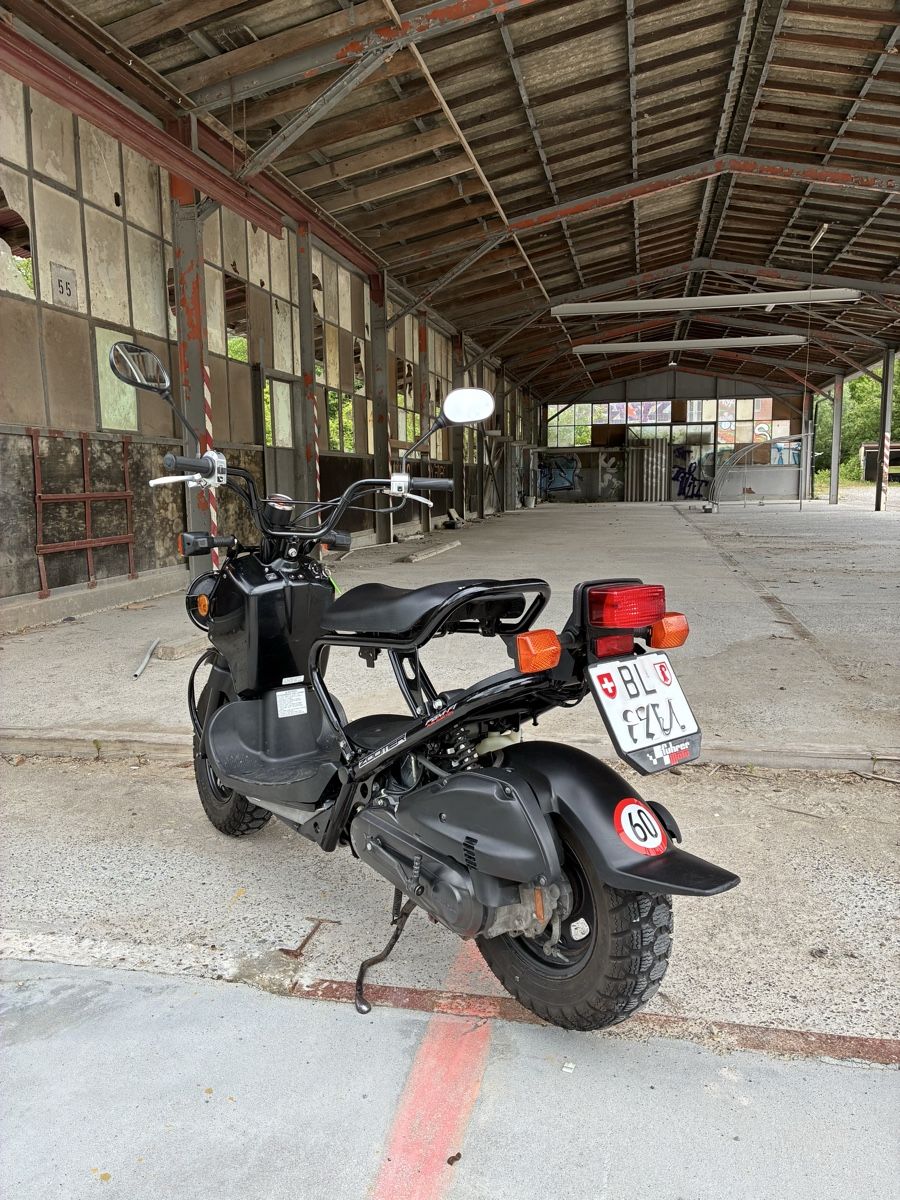 Honda Scooters: Honda NPS 50 Zoomer "Ruckus" – Gebraucht aus Muttenz von Jordan4127 4
