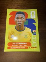 Panini Fifa RSA 12