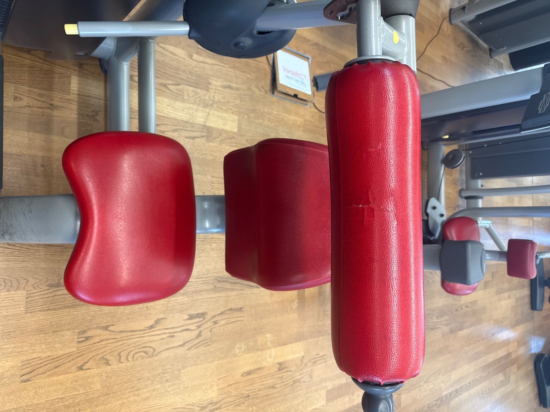 Technogym Vélos d'appartement: Technogym Lower Back - Rückenstrecker - 300VB – D'occasion à Mettmenstetten par Nils_Gut_GZG 3