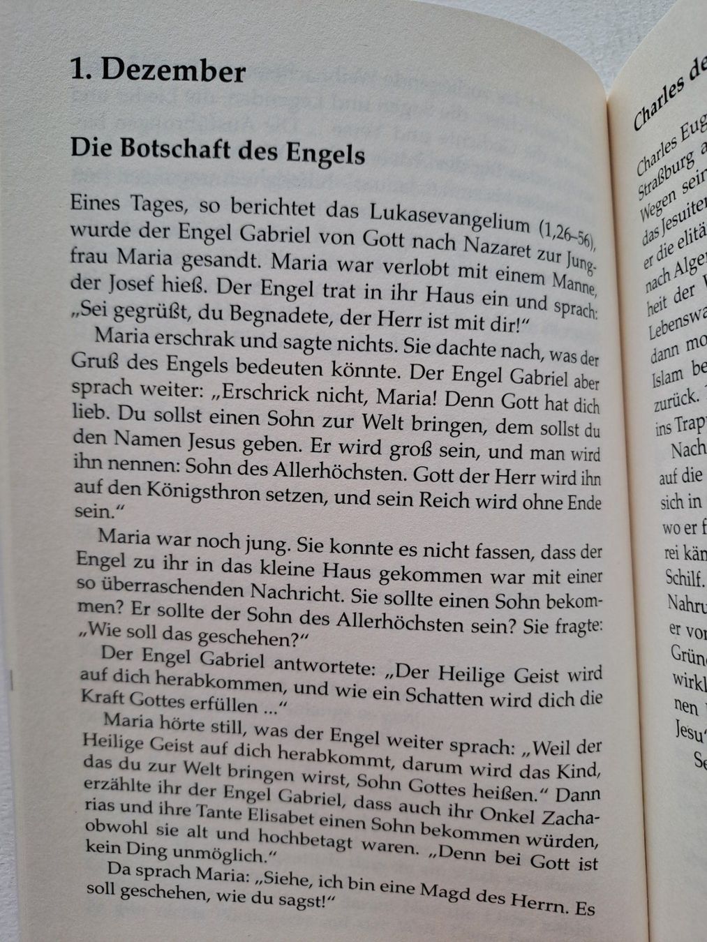 Bücher: Buch 'Die Botschaft des Engels' T.Schmid – Gebraucht aus Volketswil von ronbons 5