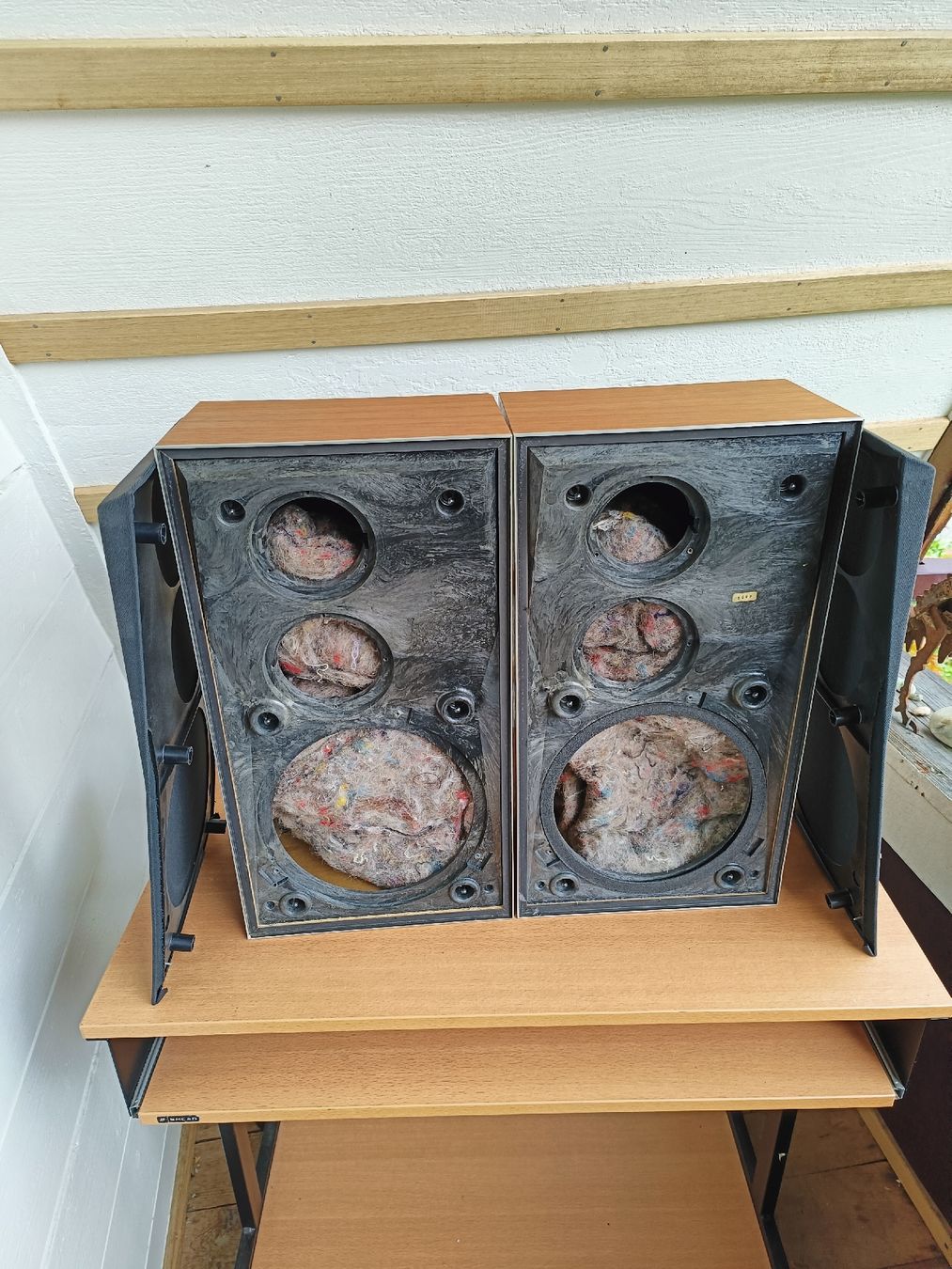 Bang & Olufsen Casse acustiche: Lautsprecher Gehäuse Bang&Olufsen – Usato da Steffisburg venduto da zulg03 1