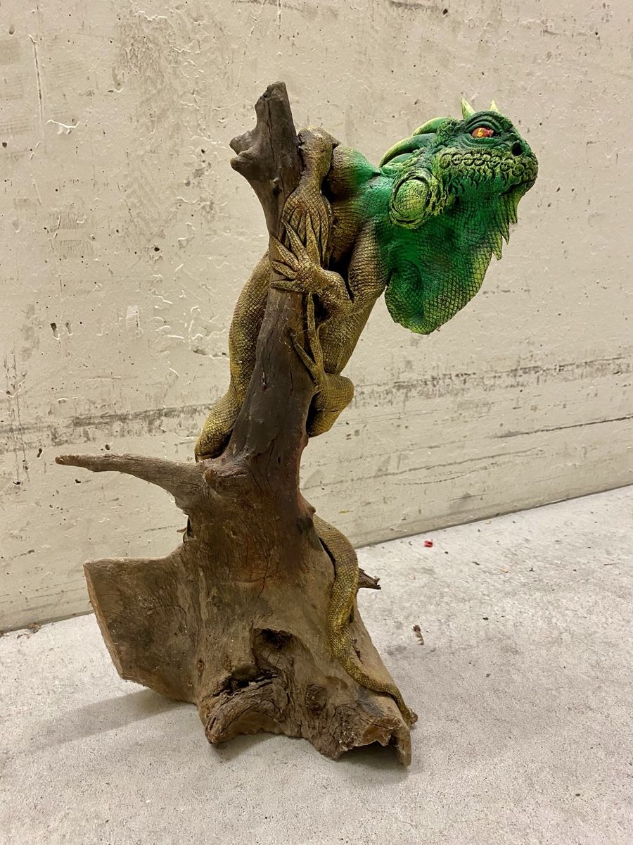 Skulpturen & Statuen: Leguan auf Treibholz – Gebraucht aus Rickenbach ZH von Der-Insider 4