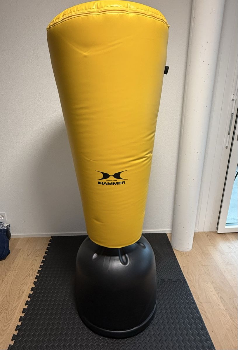 Sacchi da boxe: Standboxsack – Nuovo (secondo la descrizione) da Pfäffikon ZH venduto da m8330