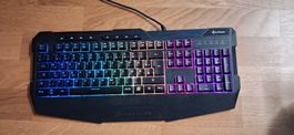 Gaming Tastatur Sharkoon Skiller SGK4