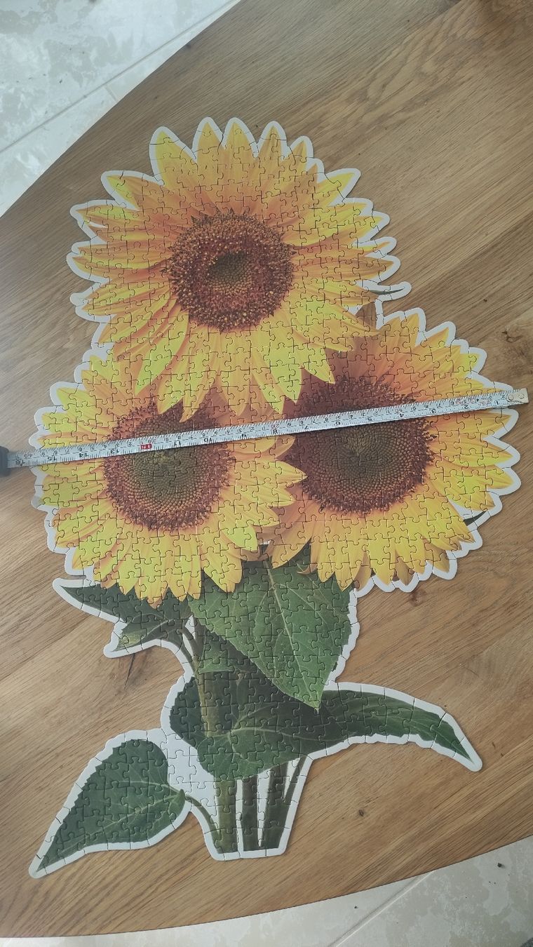 Puzzle: Puzzle Sonnenblumen 552 Teile – Usato da Bülach venduto da dan_7scp 3
