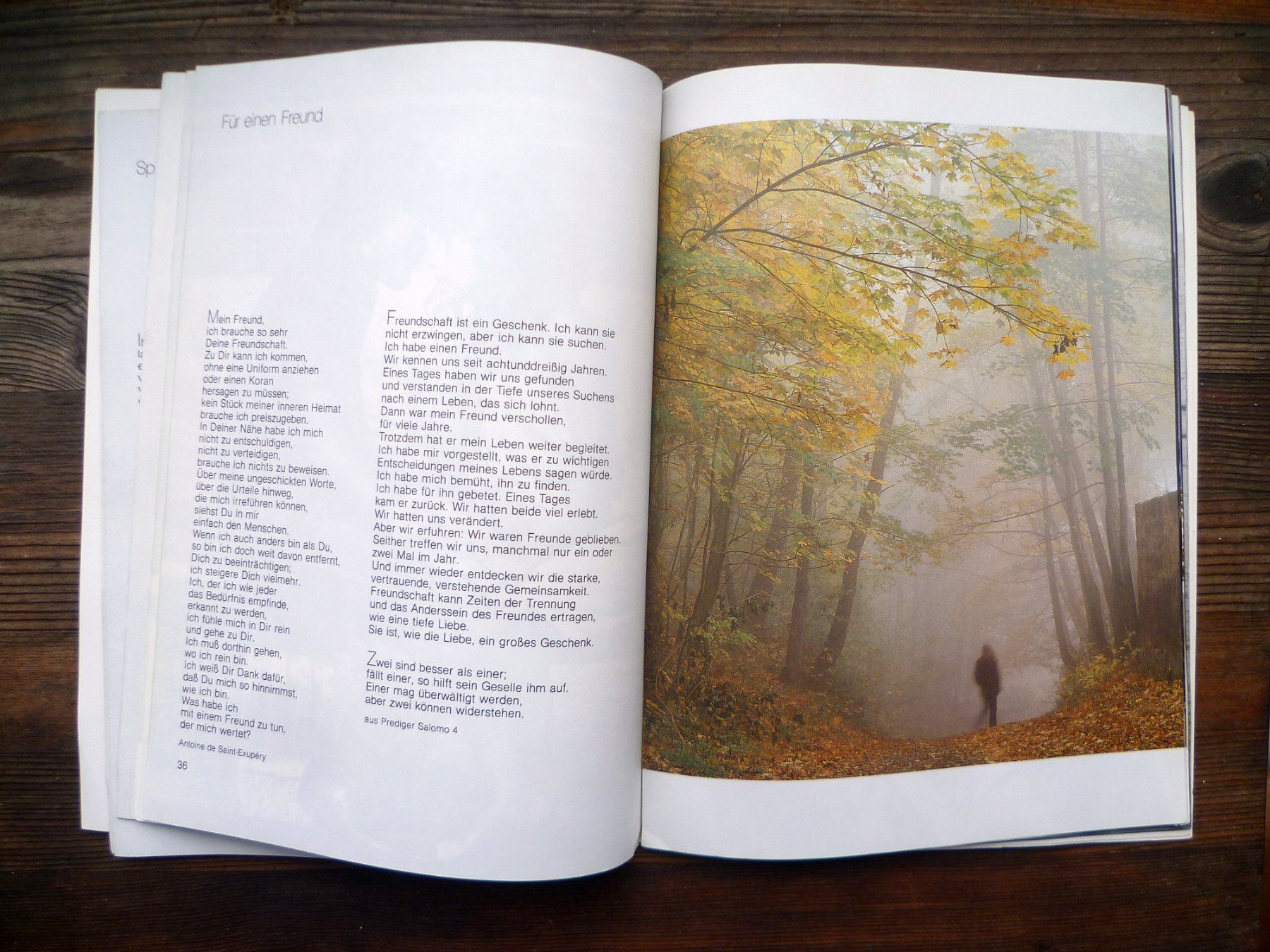 Libri: Buch Abenteuer Leben – Usato da Aarau venduto da Rdodger 4