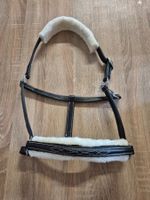 Leder Halfter Cob schwarz