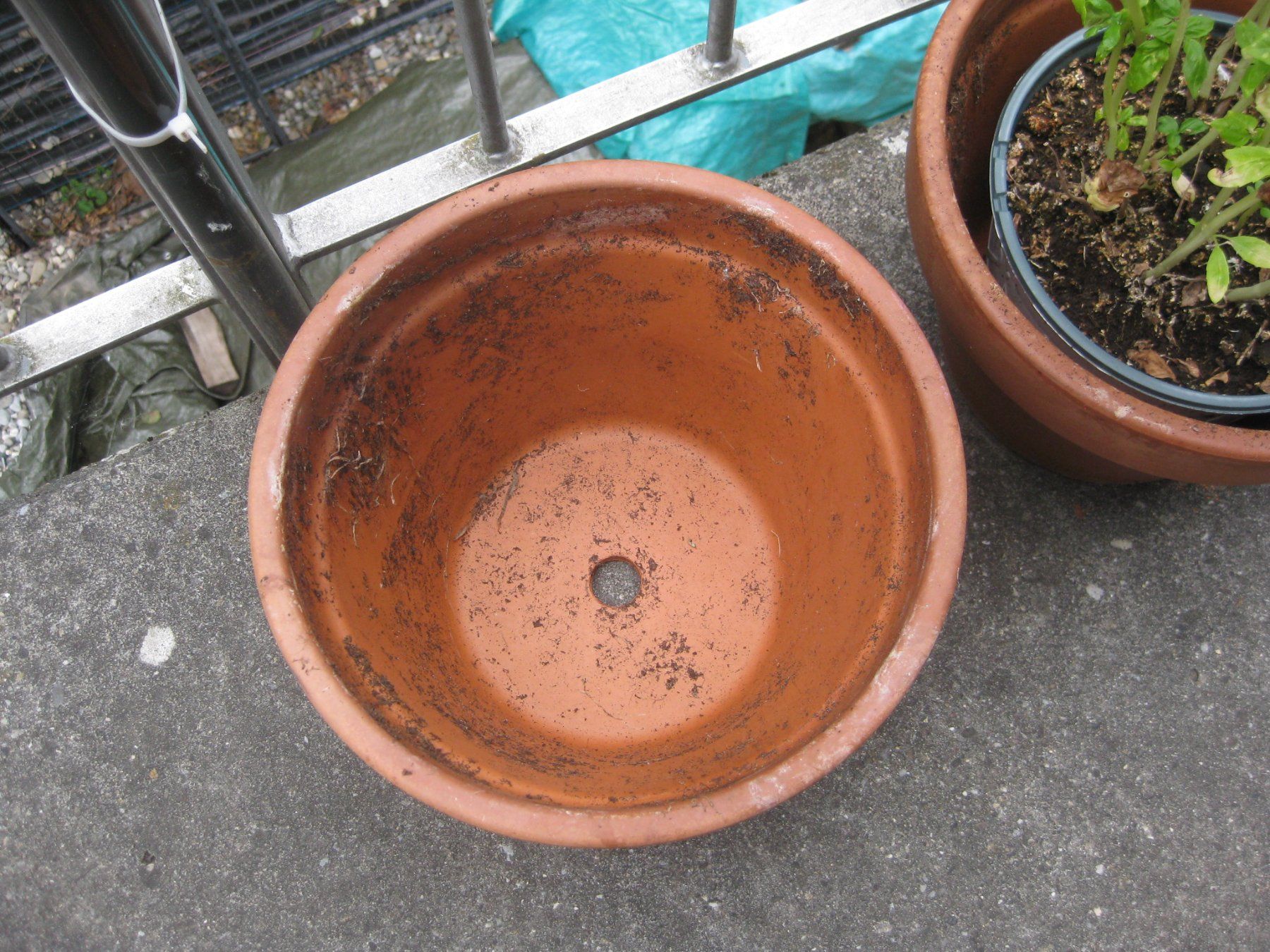 Blumentöpfe: 2 Terracotta Töpfe – Gebraucht aus Romanshorn von Wazoohandlung 2