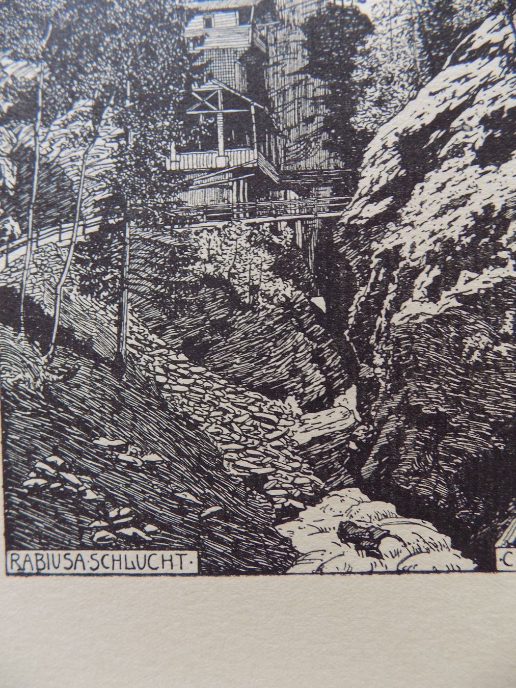 Incisioni: Rabiusaschlucht – Usato da Risch venduto da Rischli15 7