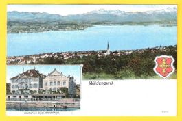 alte AK Wädenswiler Litho mit Gasthof Engel